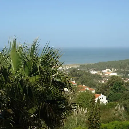 Rodriris Holidays